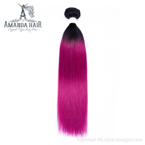 Amanda Wholesale Price Cuticle Aligned Human Hair Bundles with Closure Two tone color Hair T1b Purple